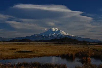 DSC_6013 (Large).JPG